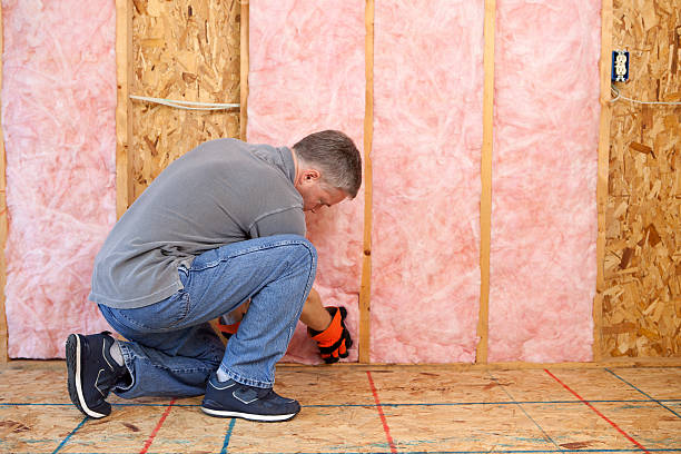Best Insulation for Specific Applications in Thruston, KY