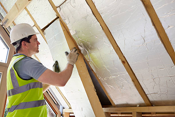 Best Cellulose Insulation in Thruston, KY